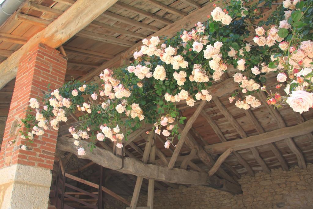 Chambres D'Hotes Le Val De La Garenne Senouillac Екстериор снимка
